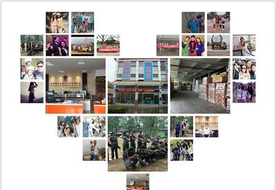 8G黃、8G熒光黃、5#綠、熒光黃8G等塑料熒光顏料 鞍山七彩惠豐標(biāo)準(zhǔn)詳解及市場(chǎng)采購指南