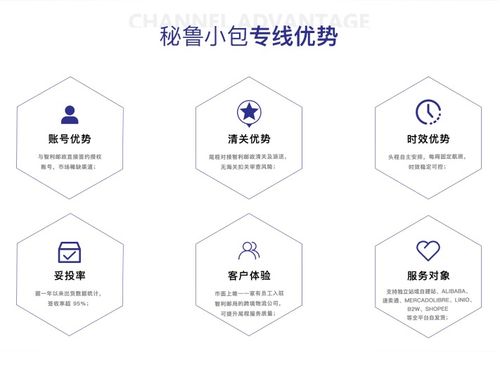 拉丁美洲D(zhuǎn)DP報(bào)價(jià)解析 信息咨詢服務(wù)的成本與價(jià)值