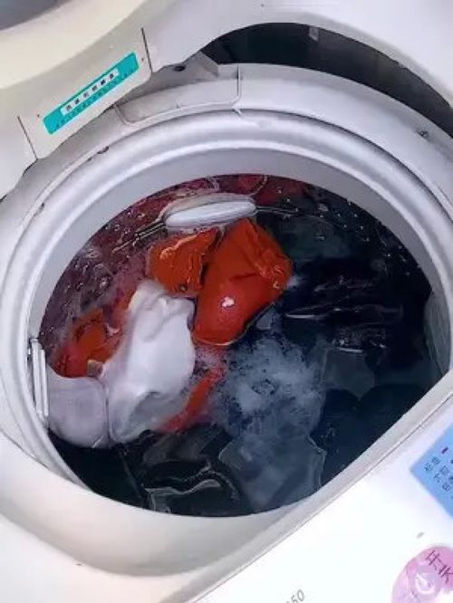 共享洗衣房的救星 一網打盡的毛發(fā)過濾神器